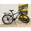 bazarove kolo schwinn