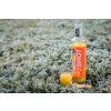 Bio Shot zázvor a rakytník 0,25l