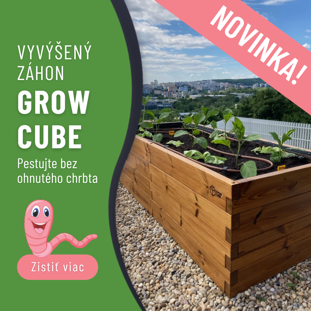 Novinka GROW CUBE - pätička
