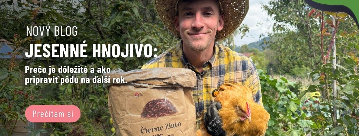 blog carousel desktop