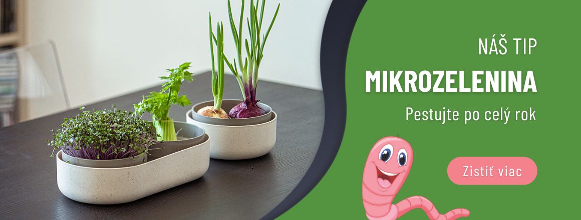 carousel desktop mikrozelenina