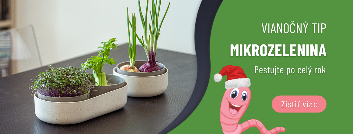 carousel desktop mikrozelenina