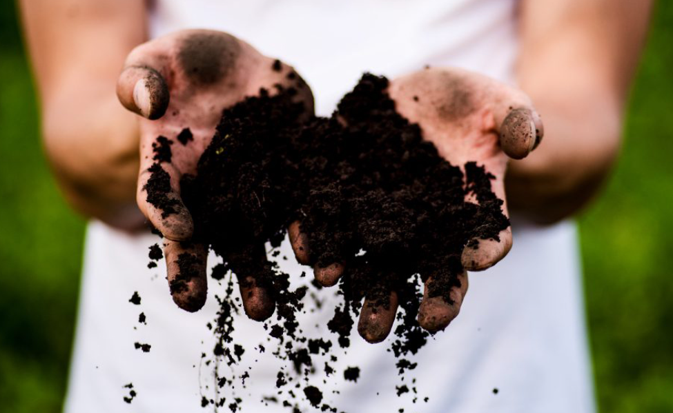 Vermikompost - 100 % bio kompost