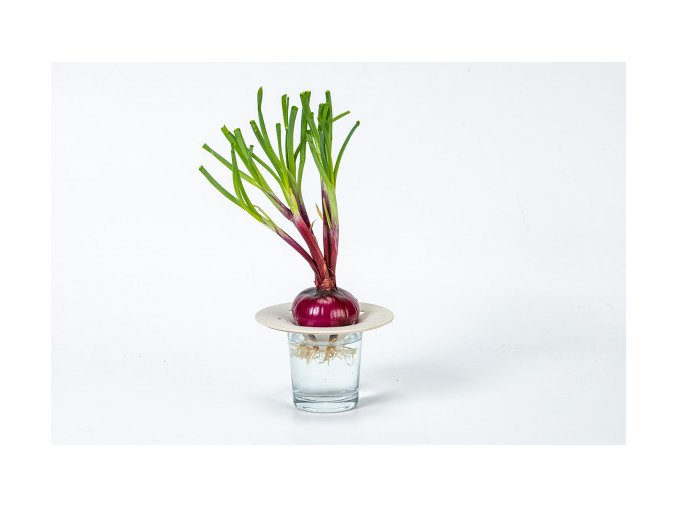 Miska na avokádo alebo cibuľu