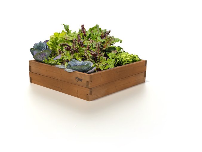 VYVÝŠENÝ ZÁHON GROW CUBE THERMO BOROVICA S