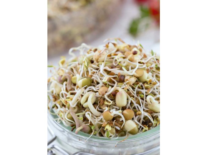 Semená na klíčky Lahodná zmes