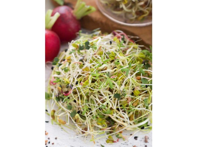 Semená na klíčky Regeneračná zmes