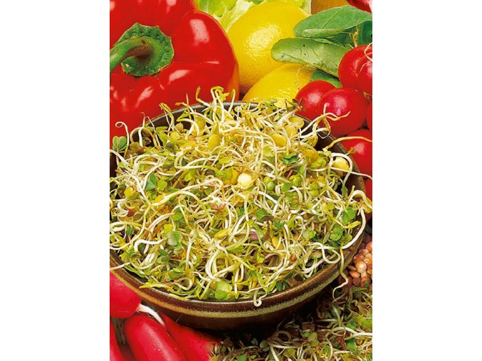 Semená na klíčky Reďkovka a šošovica