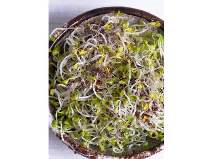 BIO Semená na klíčky Brokolica