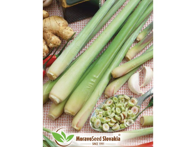 3281 N1701220 citronova trava