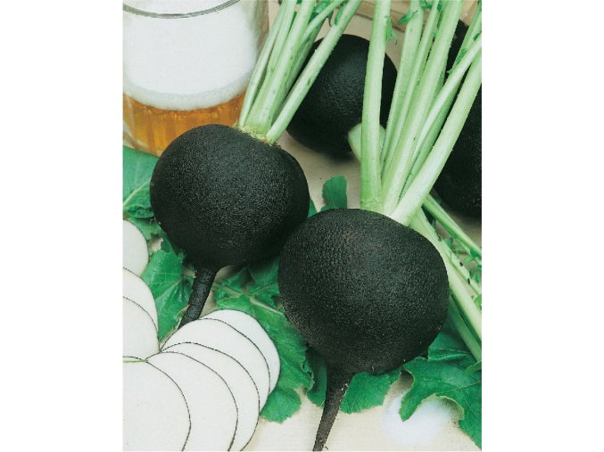 Reďkev siata čierná - Kulatá Čierna
