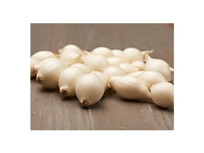 Cibuľa sadzačka Snowball 8 15 mm, 250 g