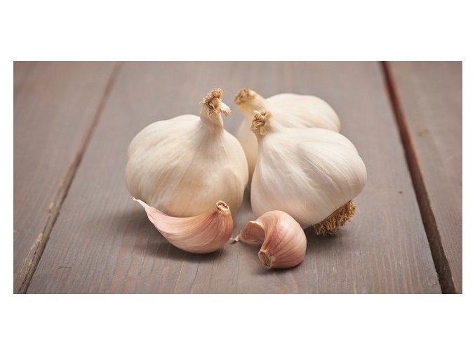 Cesnak jarný 250g – Flavor