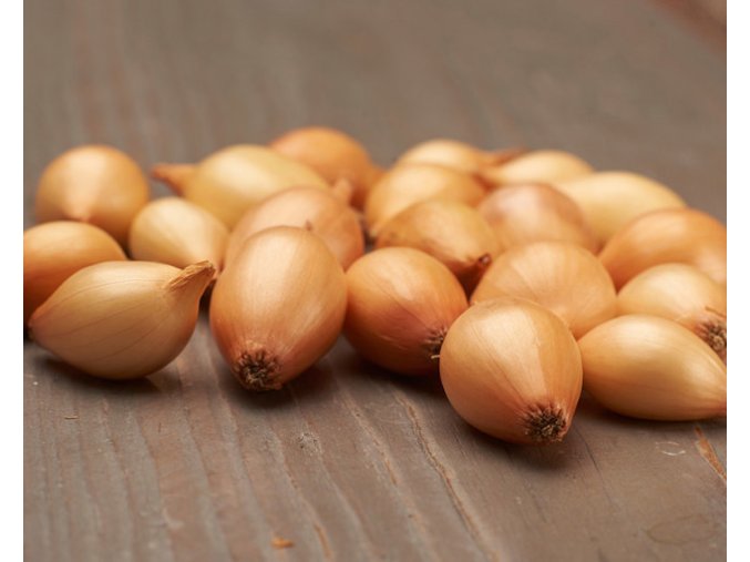 BIO Cibuľa jarná žltá – Bio Sturon 300