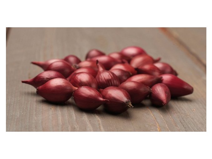 Cibuľa jarná červená, 500 g – Red Karmen