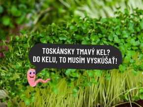 Kel toskánsky tmavý mikrozelenina