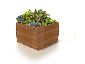 VYVÝŠENÝ ZÁHON GROW CUBE THERMO BOROVICA XL