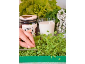 Mikrozelenina Lucerna siata