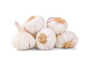 Sadbový cesnak Morado, neskorý paličiak 50 60 mm, 6ks