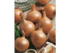 Cibuľa jarná žltá, 500 g – Všetana