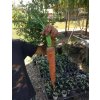 Prírodný stimulátor úrodnosti pôdy HUMAC® Agro použitie