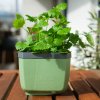 Samozavlažovací kvetináč na bylinky Herbs Buddy zelený