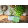 Samozavlažovací kvetináč na bylinky Herbs Buddy ukazovateľ vody
