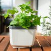 Samozavlažovací kvetináč na bylinky Herbs Buddy biely
