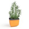 Samozavlažovací kvetináč na bylinky Herbs Buddy med