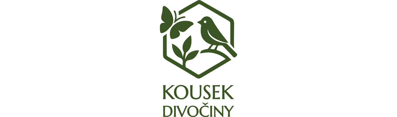 Kousek divočiny