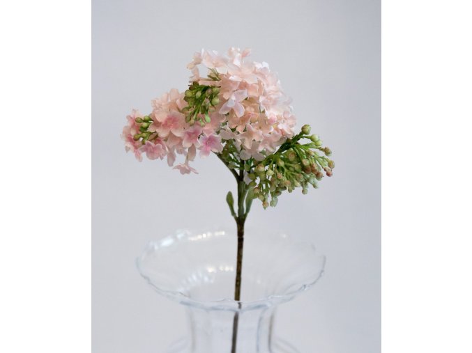 Kouzlo starých časů 23.03.2020 048