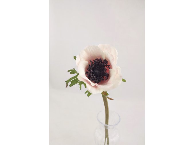 eshop tom anemone lila