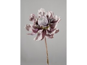 Gerbera fialová omrzlá 68 cm