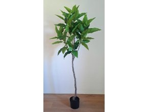 eshop fikus