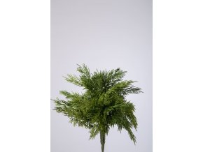 Colours Green Pine x9 Bundle 31cm 850270