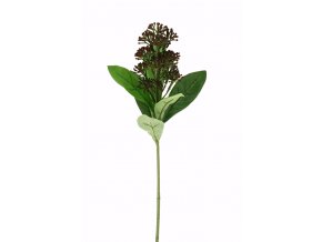 skimmie červená 43cm 130613DKBU