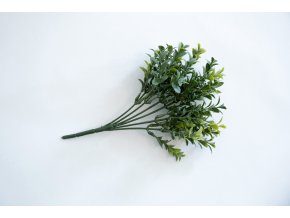 Buxus svazek 25 cm