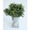 Buxus svazek 25 cm