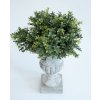 Buxus svazek 25 cm