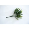Buxus svazek 25 cm