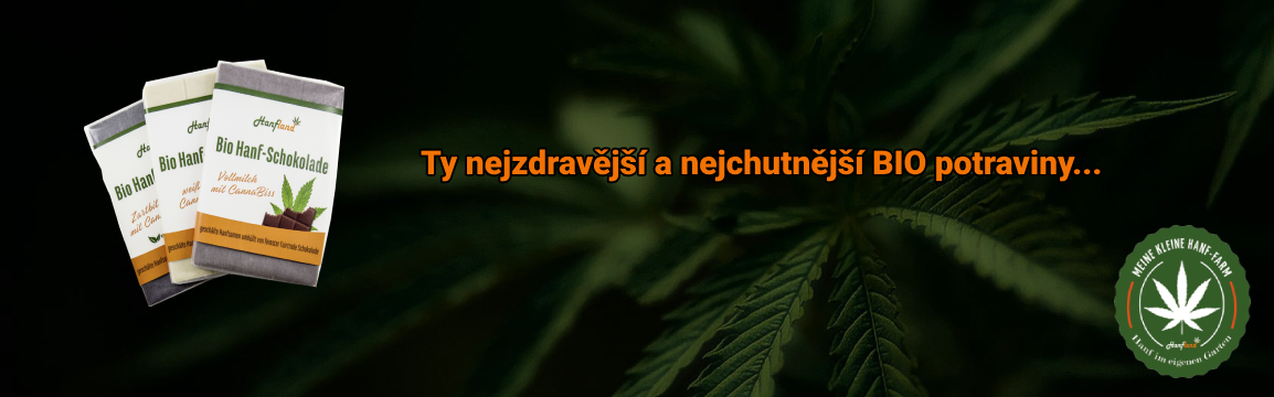 Ty nejzdravější