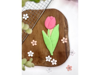 tulipan web