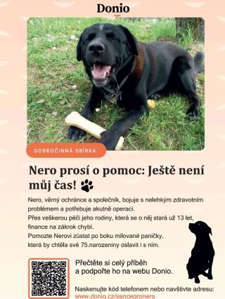 Obrátila se na mě kamarádka s prosbou sdílení 🍀 "Už od léta jezdíme s pejskem na veterinu a po vánocích, kdy se mu zánět...