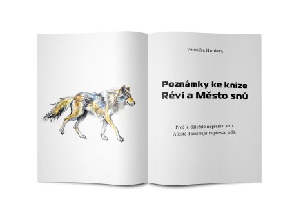 revi poznamkykeknize 01