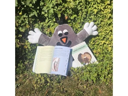 Lesní pohádky (kniha)