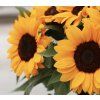 Helianthus Vincent's Choice 100ks  semínek