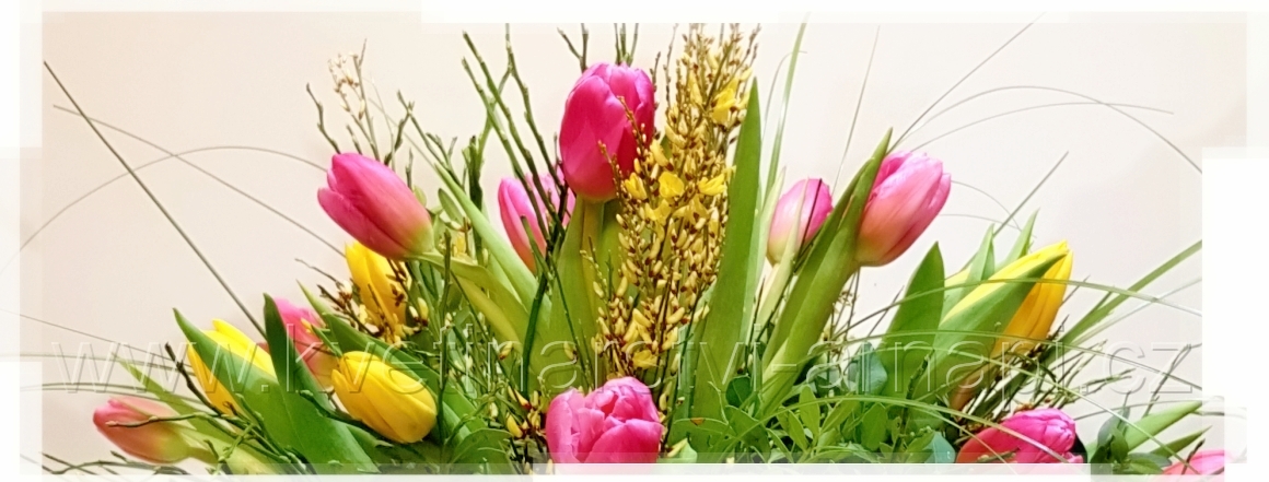 velikonoce-tulipany-kvetinarstvi-arnapi