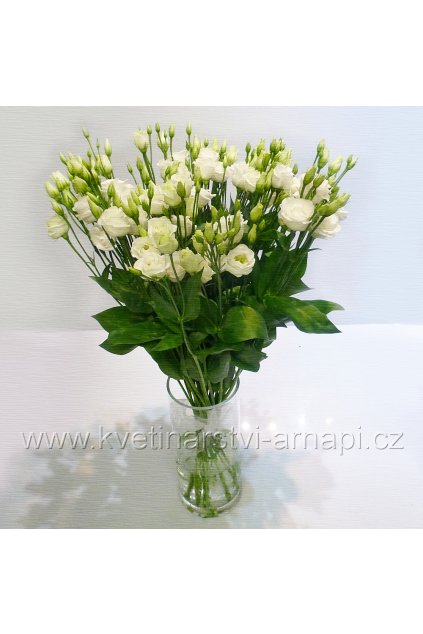 darkova kytice eustoma bila kvetinarstvi arnapi