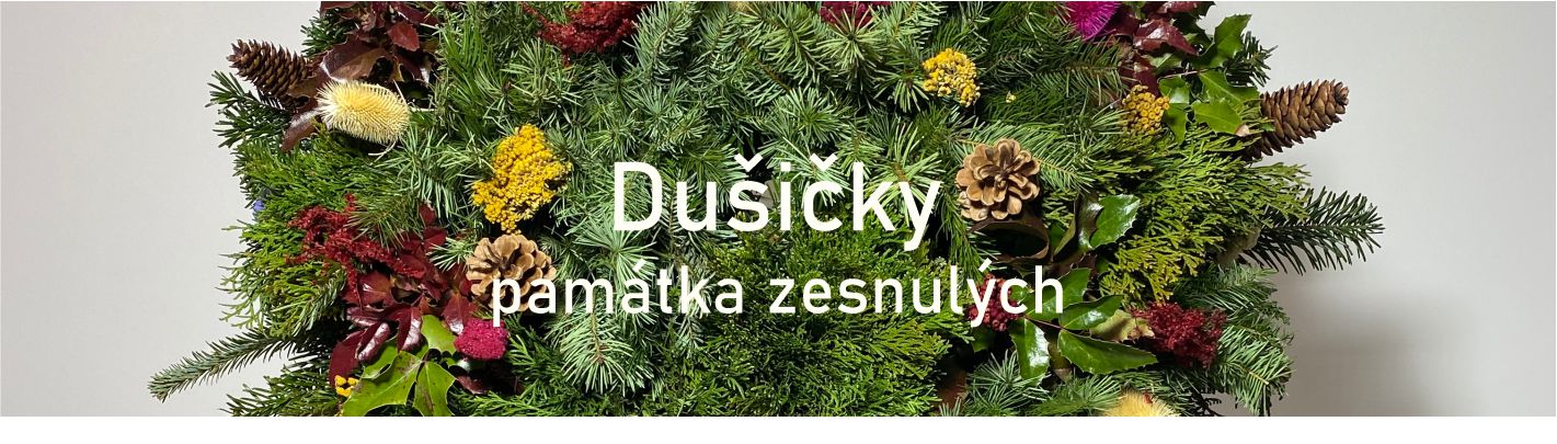dusicky