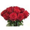 Love roses Valentýn